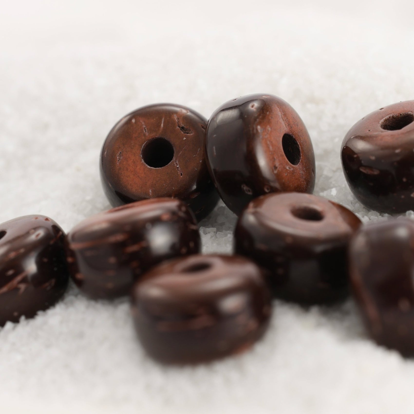 Coconut Shell — Echoes of Distant Shores - ZODORI